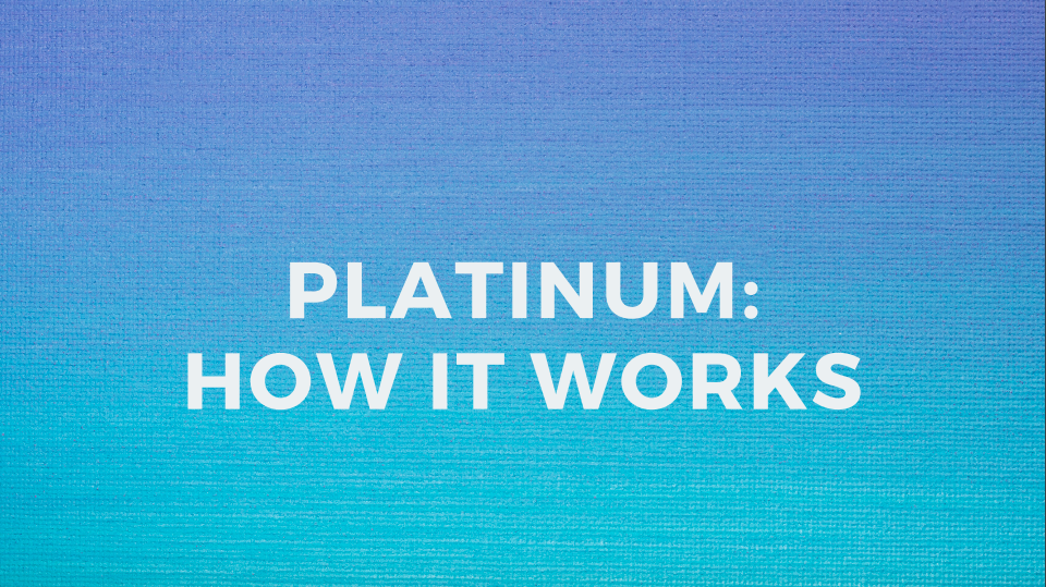 Platinum's check in process for chiropractors